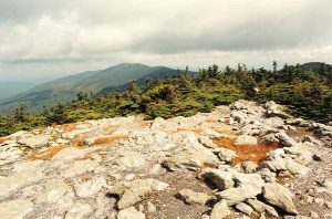 Mt Ellen