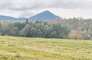 Whiteface Mtn