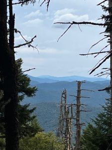 Peek-out view from the flanks of East Round Mountain