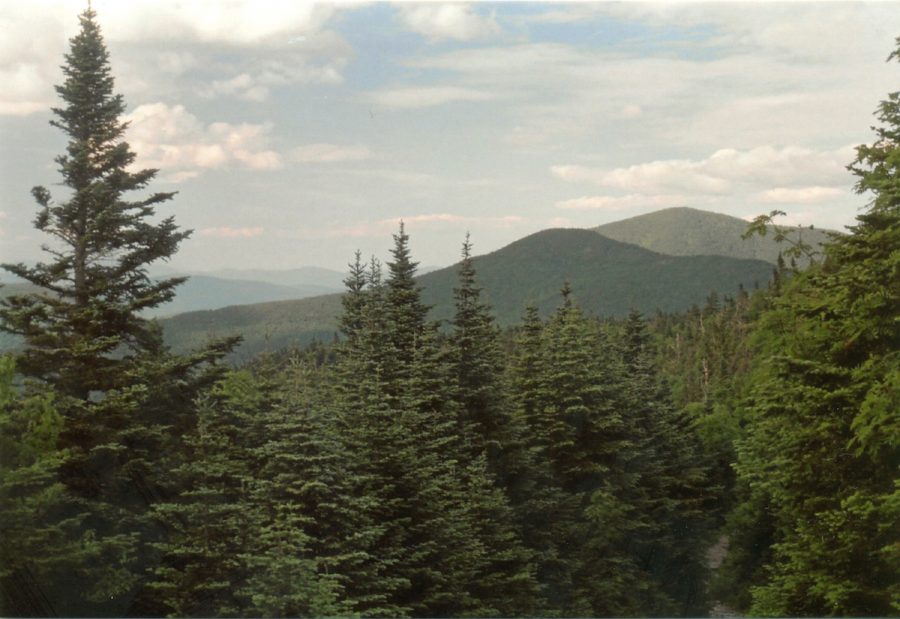 Joseph Bahr Trails - Madonna and Whiteface from Long Trail 2012