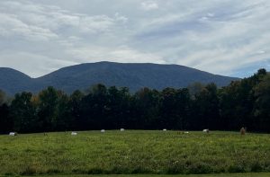 Dorset Mountain West Peak